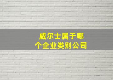 威尔士属于哪个企业类别公司