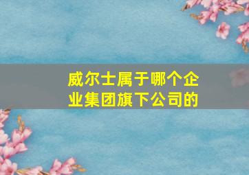 威尔士属于哪个企业集团旗下公司的