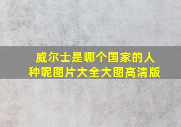 威尔士是哪个国家的人种呢图片大全大图高清版