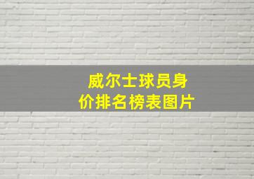 威尔士球员身价排名榜表图片