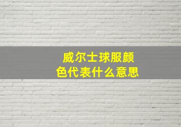 威尔士球服颜色代表什么意思