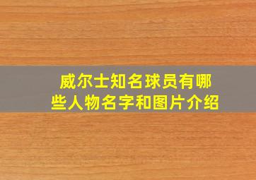 威尔士知名球员有哪些人物名字和图片介绍