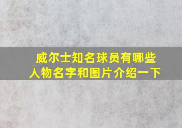 威尔士知名球员有哪些人物名字和图片介绍一下