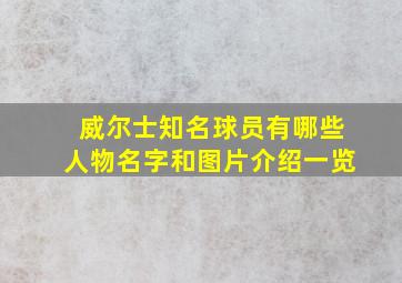 威尔士知名球员有哪些人物名字和图片介绍一览