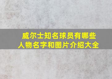 威尔士知名球员有哪些人物名字和图片介绍大全