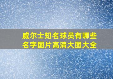 威尔士知名球员有哪些名字图片高清大图大全