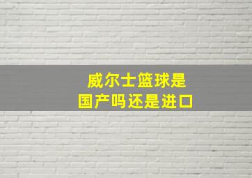 威尔士篮球是国产吗还是进口