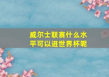 威尔士联赛什么水平可以进世界杯呢