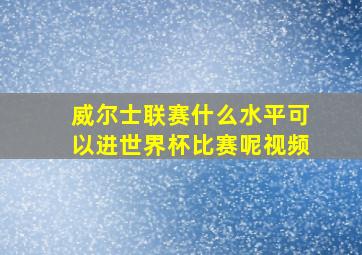 威尔士联赛什么水平可以进世界杯比赛呢视频