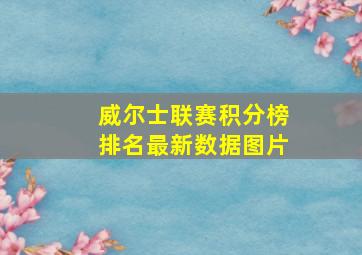 威尔士联赛积分榜排名最新数据图片