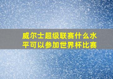 威尔士超级联赛什么水平可以参加世界杯比赛