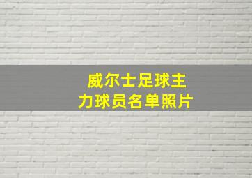 威尔士足球主力球员名单照片