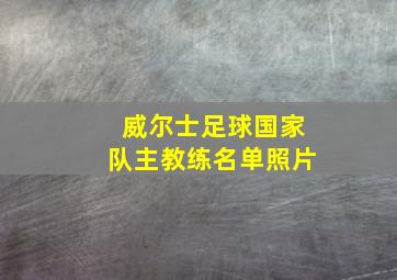 威尔士足球国家队主教练名单照片