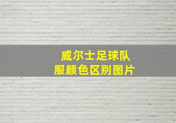 威尔士足球队服颜色区别图片