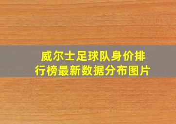 威尔士足球队身价排行榜最新数据分布图片