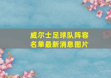 威尔士足球队阵容名单最新消息图片