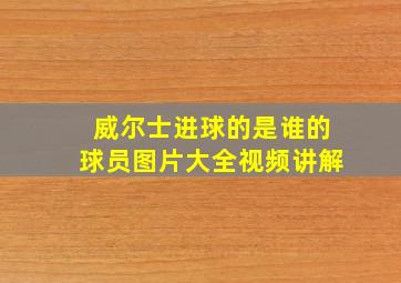 威尔士进球的是谁的球员图片大全视频讲解