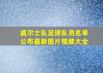 威尔士队足球队员名单公布最新图片视频大全