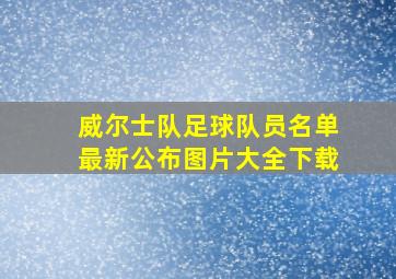 威尔士队足球队员名单最新公布图片大全下载