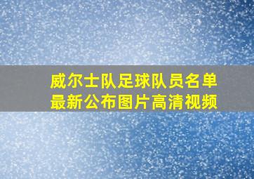 威尔士队足球队员名单最新公布图片高清视频