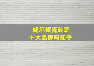 威尔顿瓷砖是十大品牌吗知乎