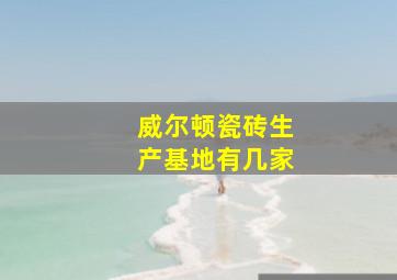 威尔顿瓷砖生产基地有几家