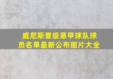 威尼斯晋级意甲球队球员名单最新公布图片大全