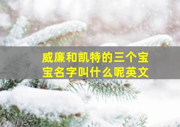 威廉和凯特的三个宝宝名字叫什么呢英文