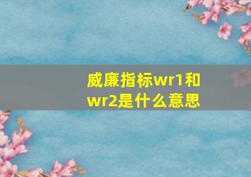 威廉指标wr1和wr2是什么意思