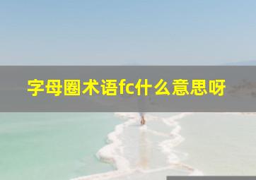 字母圈术语fc什么意思呀