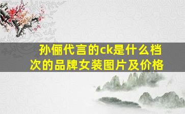 孙俪代言的ck是什么档次的品牌女装图片及价格