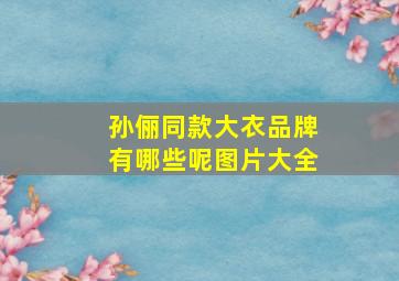 孙俪同款大衣品牌有哪些呢图片大全