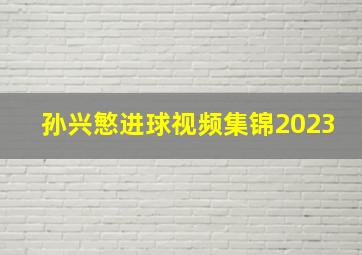 孙兴慜进球视频集锦2023