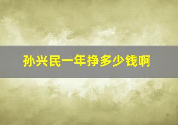 孙兴民一年挣多少钱啊