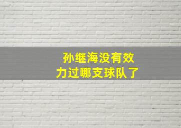 孙继海没有效力过哪支球队了