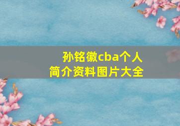 孙铭徽cba个人简介资料图片大全