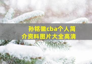 孙铭徽cba个人简介资料图片大全高清