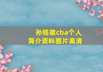 孙铭徽cba个人简介资料图片高清