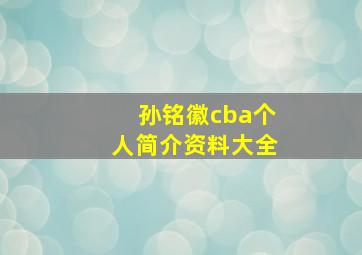 孙铭徽cba个人简介资料大全