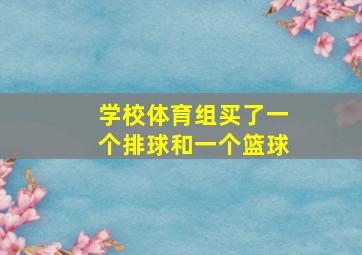 学校体育组买了一个排球和一个篮球