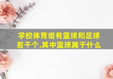 学校体育组有篮球和足球若干个,其中篮球属于什么