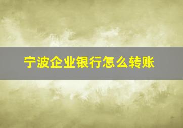 宁波企业银行怎么转账