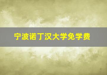 宁波诺丁汉大学免学费