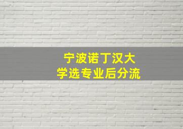 宁波诺丁汉大学选专业后分流