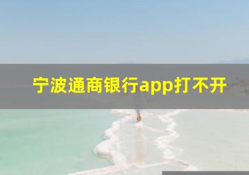 宁波通商银行app打不开