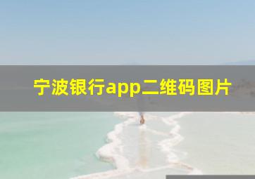 宁波银行app二维码图片