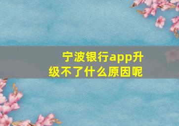 宁波银行app升级不了什么原因呢