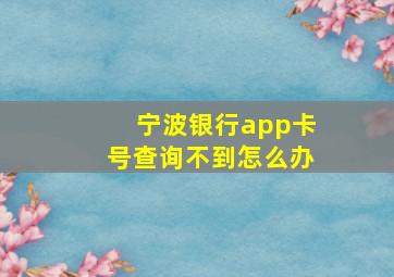 宁波银行app卡号查询不到怎么办