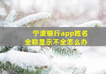 宁波银行app姓名全称显示不全怎么办