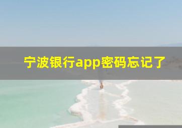 宁波银行app密码忘记了